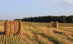 İran Savaşı Amerika'daki Çiftçileri Nasıl Etkiliyor?