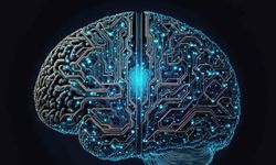 Beyin 18 Ya Da 25 Yaşında Olgunlaşmıyor