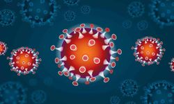 Verem Virüsü Yeniden Yayılmaya Başladı