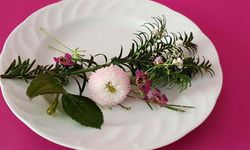 Yenilebilir Çiçeklere Olan İlgi Giderek Artıyor