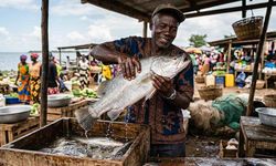 Afrika'da Sahte Peygamber Olayı Kafadan Canlı Balık Çıkıyor