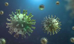 Kovid'in Yeni Türü Cicada Hızla Yayılıyor