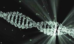 Kansere Karşı Yeni Silah Akıllı DNA Sapları