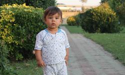 İtalya'da Doğum Oranları Dibe Vurdu İşte Detaylar