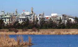 İran Kuveyt'teki Su Arıtma Tesisine Saldırıyı Yalanladı