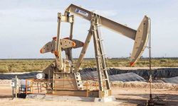 Amazon Ormanlarında Petrol Kuyuları Yeniden Açılıyor