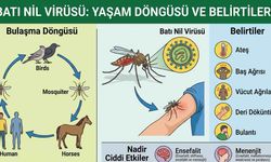 Batı Nil Virüsü Makedonya'da 8'inci Kurbanını Aldı