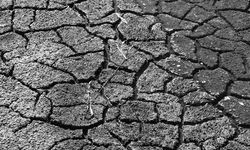 El Nino 150 Yıl Önce 50 Milyon Kişiyi Açlıktan Yok Etti