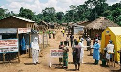Kongo'da Ebola Salgını Bilançosu 4 Bin Ölü