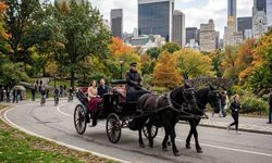 New York'ta Central Park Faytoncuları İçin Kötü Haber