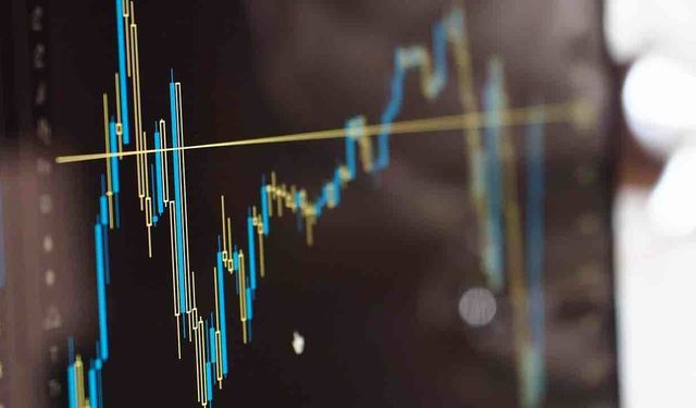 Ocak'ta Enflasyon Enag'a Göre Yüzde 53 Tüik'e Göre Yüzde 30