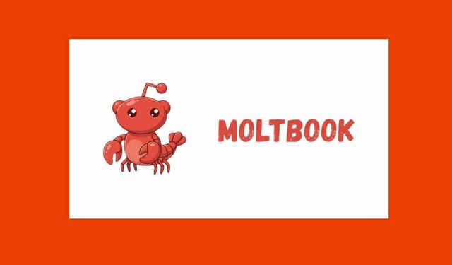 Moltbook Nedir Neden Tartışılıyor?