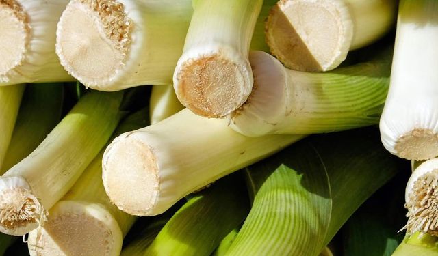 Pırasanın Faydaları Neledir? İşte Pırasanın Faydaları