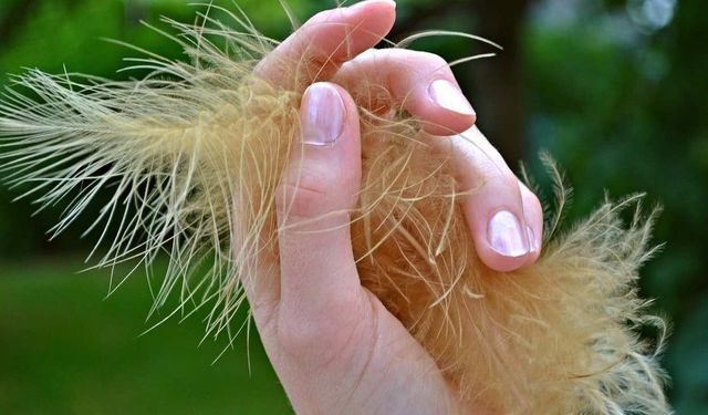 Dikkat Tırnaklarınızdaki Değişiklik Hayatınızı Kurtarabilir