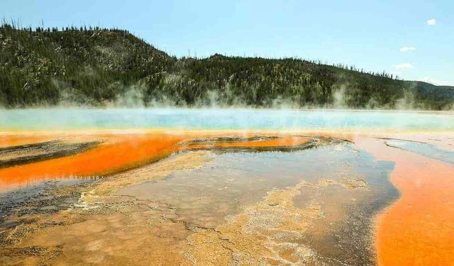 Yapay Zeka'nın Ürettiği Tesise Gidenler Perişan Oldu