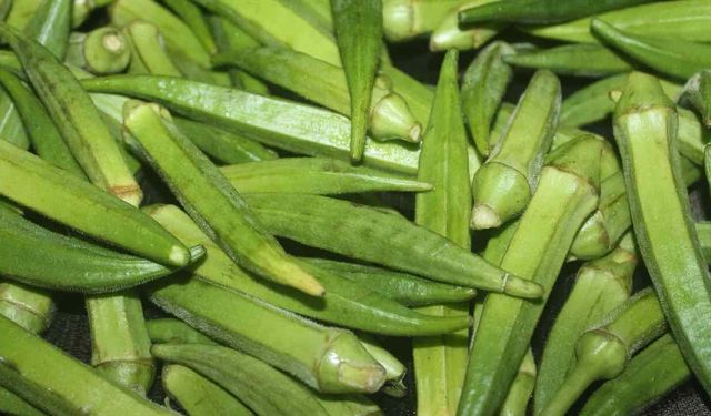 Bamya Faydaları Nelerdir? İşte Bamyanın Faydaları!
