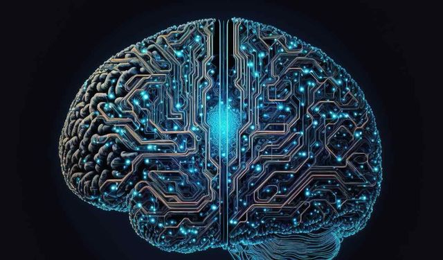 Beyin 18 Ya Da 25 Yaşında Olgunlaşmıyor