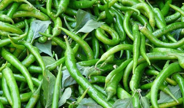 Biberin Faydaları Nelerdir? İşte Biberin Faydaları