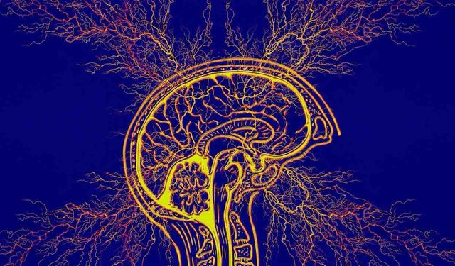 Japonya Kök Hücre Tedavisiyle Parkinson'u Tedavi Ediyor