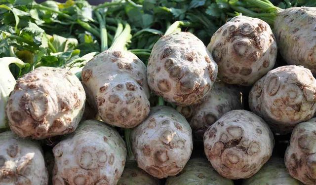 Kerevizin Faydaları Nelerdir? İşte Kerevizin Faydaları