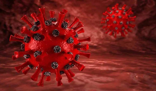 Kovid 19'un Çaresi Aradan Geçen 5 Senede Halen Bulunamadı