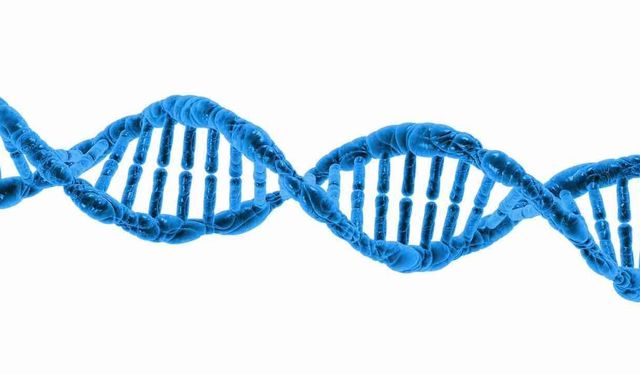 Alzheimer Başlatan Protein Keşfedildi İşte Detaylar