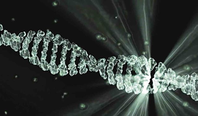 Kansere Karşı Yeni Silah Akıllı DNA Sapları
