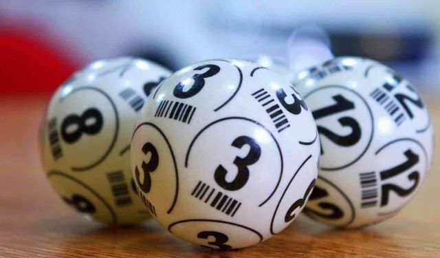 Lotodan 13 Milyon Euro Kazandı Almadı