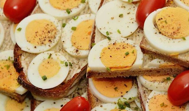 Yumurtanın Gerçek Faydaları Yeni Keşfediliyor