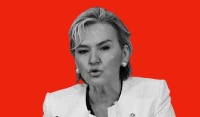 Milletvekili Nimet Özdemir CHP'den İstifa Etti
