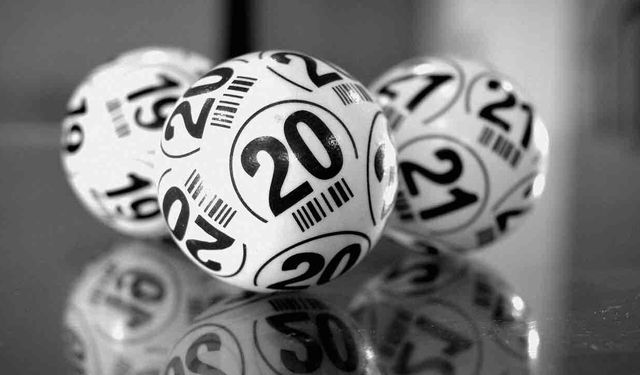 14 Milyon Euro Kazanan Loto Biletini Çöpe Attı