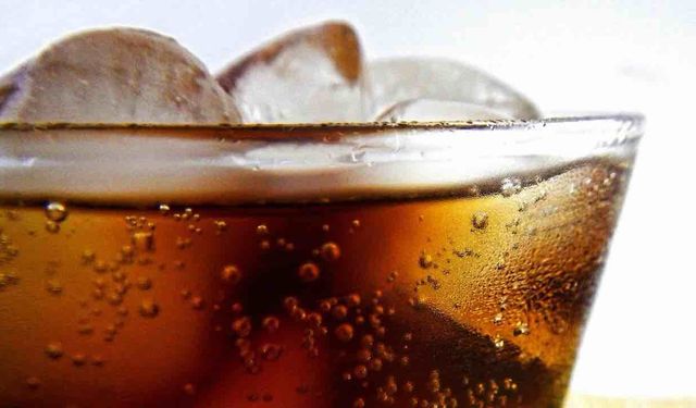 Serinlemek İçin Alınan Besinler Vücudun Suyunu Emiyor