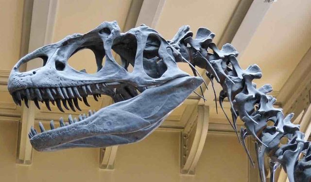 Dinozorların Ölümünde Meteorun Çok Günahı Yok