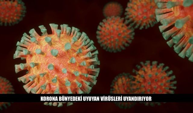Kovid Bünyedeki Uyuyan Virüsleri Uyandırıyor