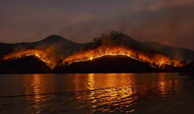 Sigaraya Orman Yangını Vergisi Konulacak İşte Detaylar