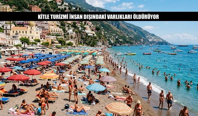 Kitle Turizmi İnsan Dışındaki Varlıkları Öldürüyor