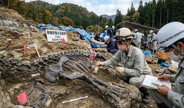 Japonya'da Yeni Bir Dinozor Türü Keşfedildi