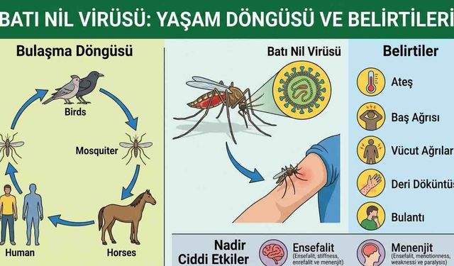 Batı Nil Virüsü Makedonya'da 8'inci Kurbanını Aldı
