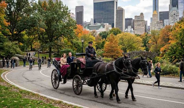 New York'ta Central Park Faytoncuları İçin Kötü Haber