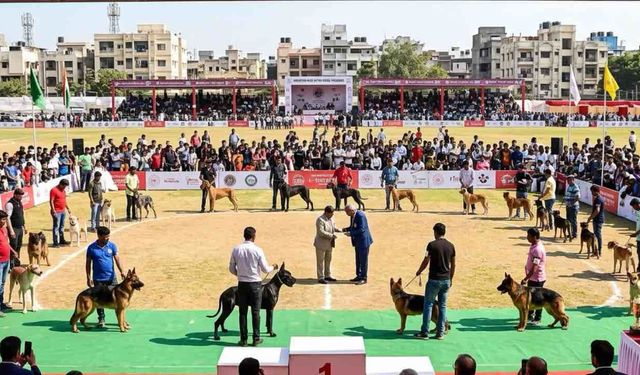 Hindistan'da En Büyük Köpek Yarışmasında 64 Aday Var