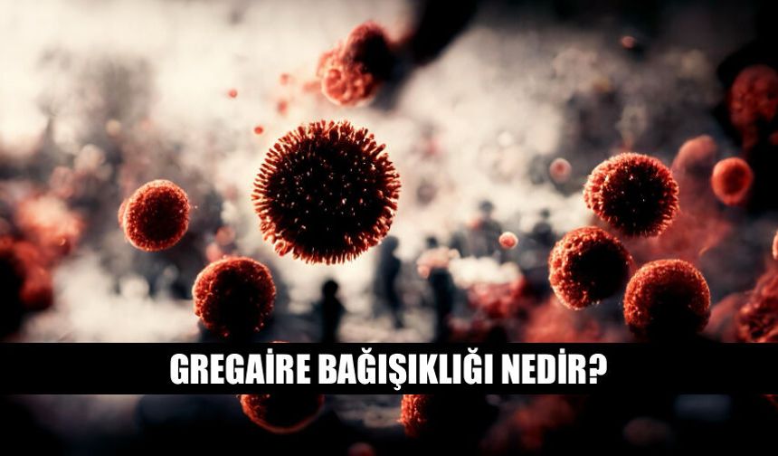 Gregaire Bağışıklığı Nedir? Kimlerde Olabilir?
