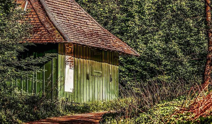 Stresi Yenmenin En İyi Yolu Orman