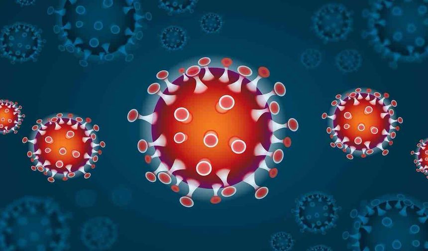 Verem Virüsü Yeniden Yayılmaya Başladı