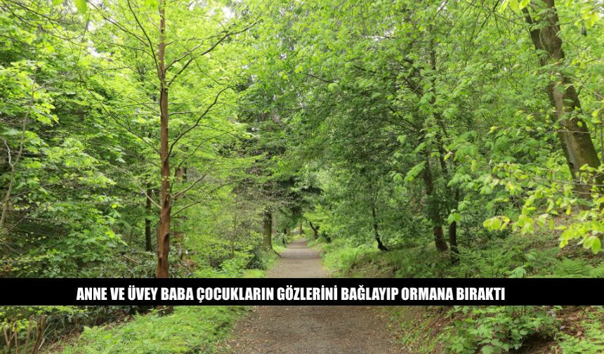 Anne Ve Üvey Baba Çocukları Ormana Bırakıp Kaçtı