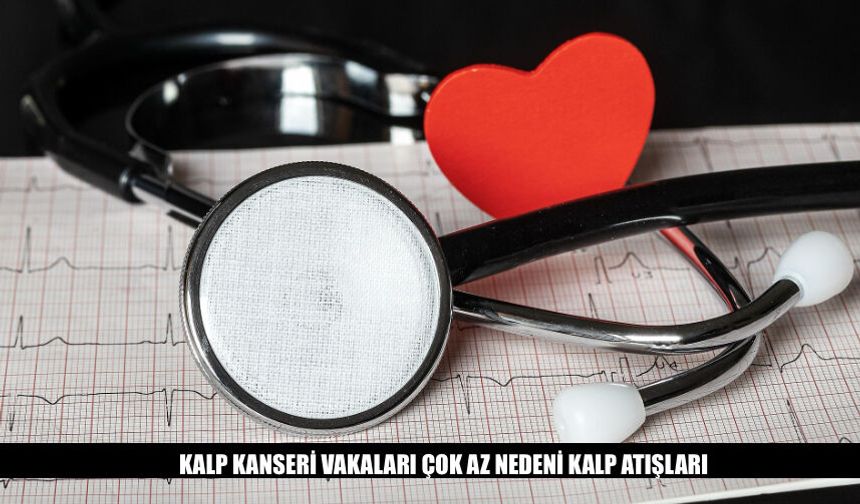 Kalp Kanseri Vakaları Çok Az Nedeni Kalp Atışları
