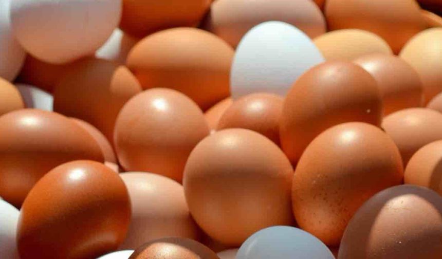 Kahverengi Ve Beyaz Yumurta Arasında Ne Fark Eder?