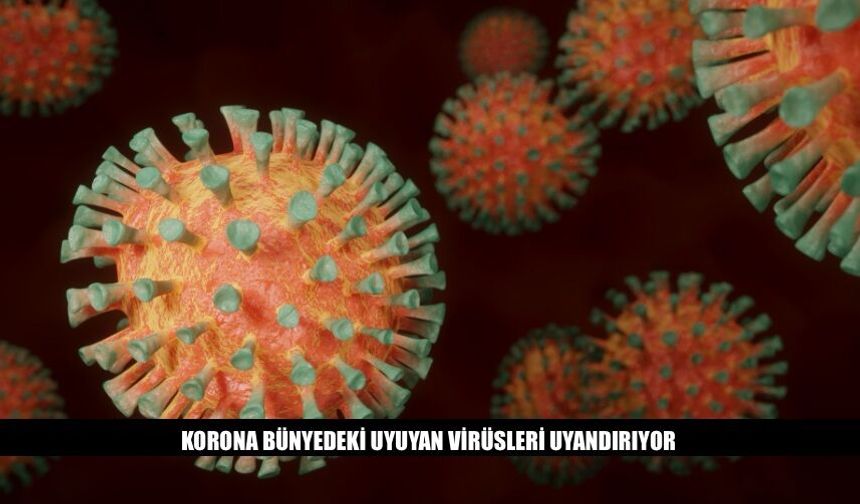 Kovid Bünyedeki Uyuyan Virüsleri Uyandırıyor