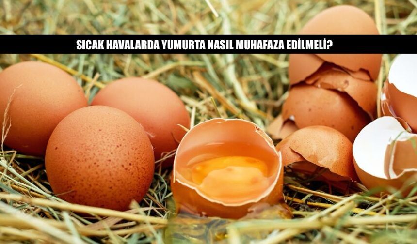 Sıcak Havalarda Yumurta Nasıl Muhafaza Edilmeli?