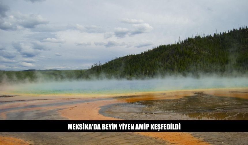 Meksika'da Beyin Yiyen Amip Keşfedildi