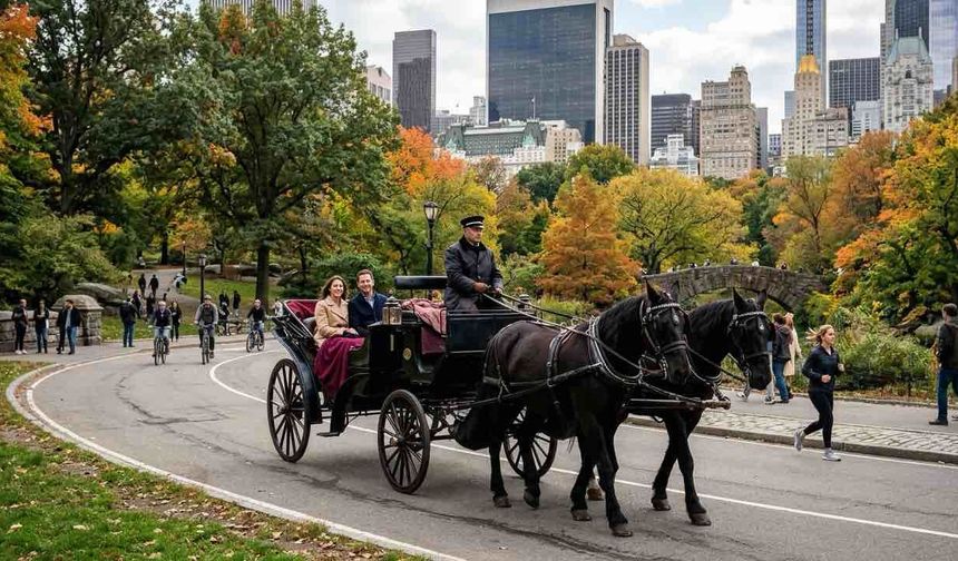New York'ta Central Park Faytoncuları İçin Kötü Haber